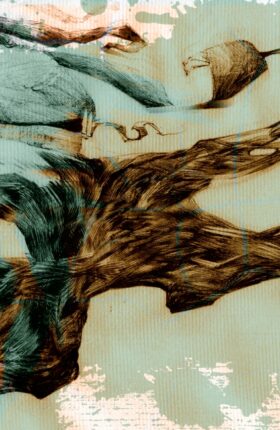 Fading Identity
